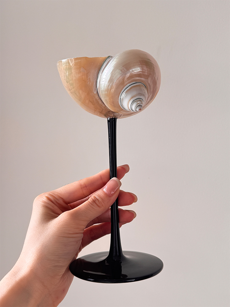 Natural Conch Shell Champagne  - Home Bar Set review and price