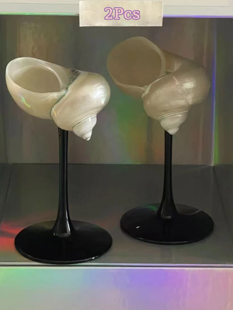 Natural Conch Shell Champagne  - Home Bar Set review and price
